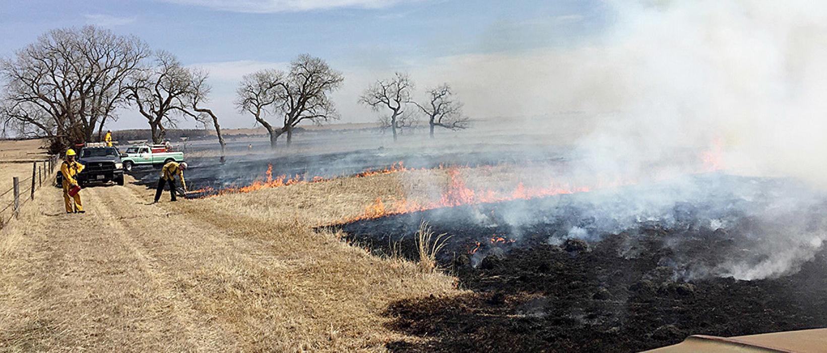 A prescribed fire crew lights off of a mowed control line, while others monitor in vehicles carrying water pumps and hoses. The mowed control line can be easily defended with tools and the vehicles carrying water on the burn. There is a smooth, clean line of black vegetation along the boundary of the burn.